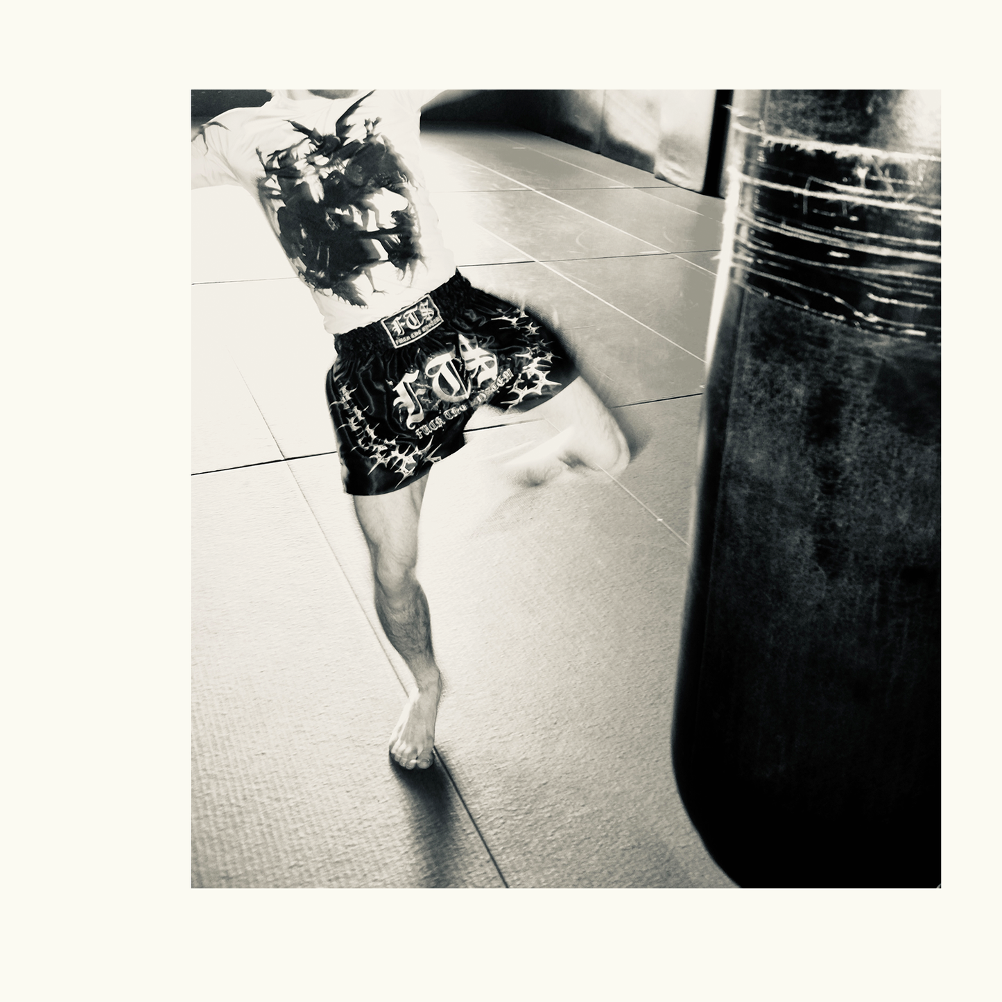 KNOCKOUT $HORT$